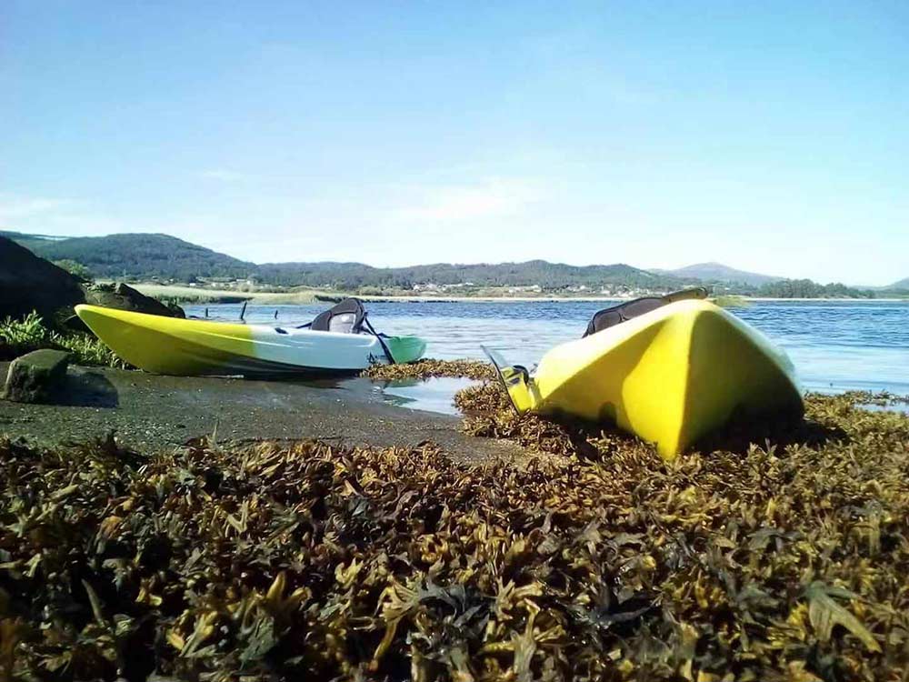 VK-04 LANGO:9.5 ft Single Fishing Kayak